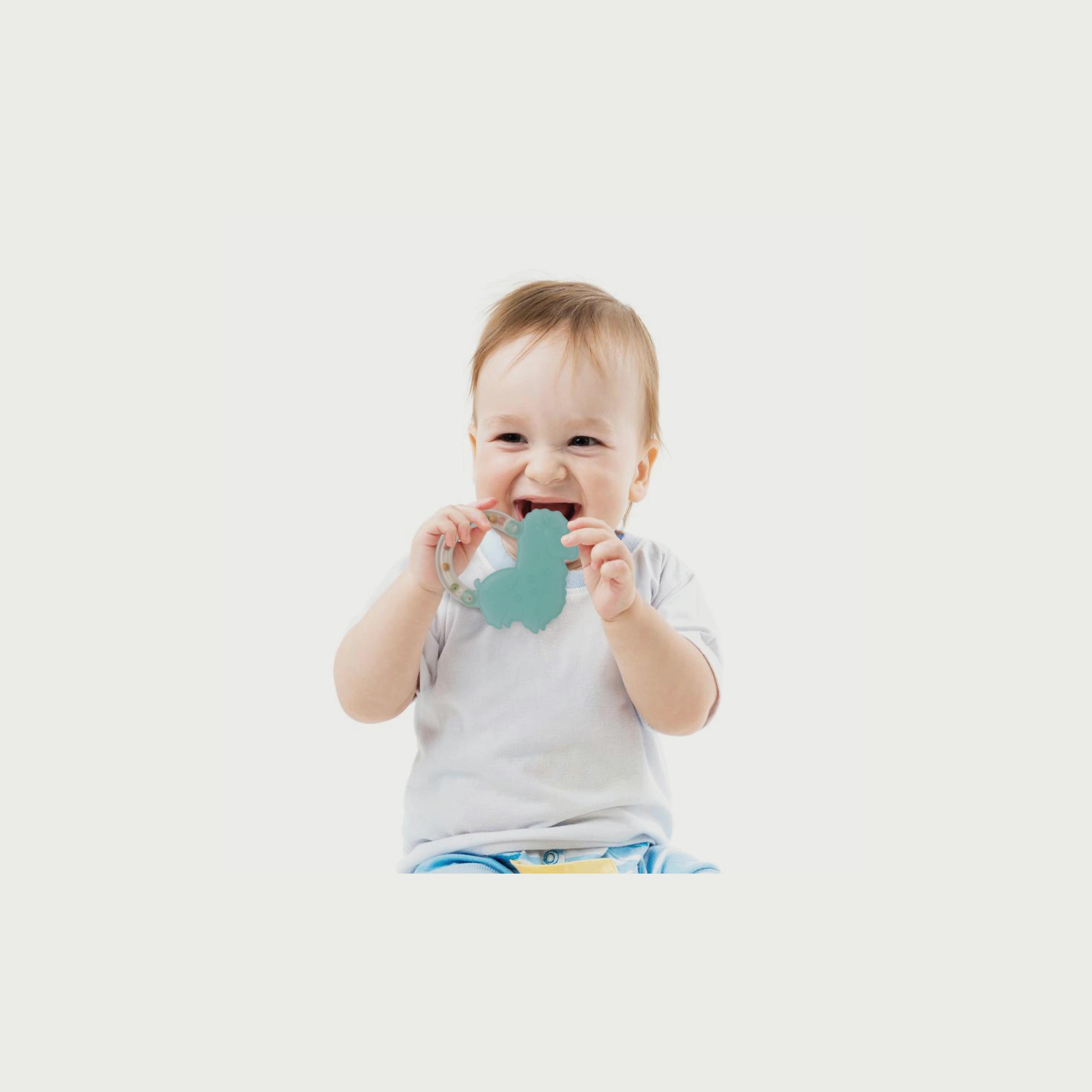 عضاضة و خشخيشة من موون, داينو-toys-babyandtoddlertoys-rattlesandteethers-image-2