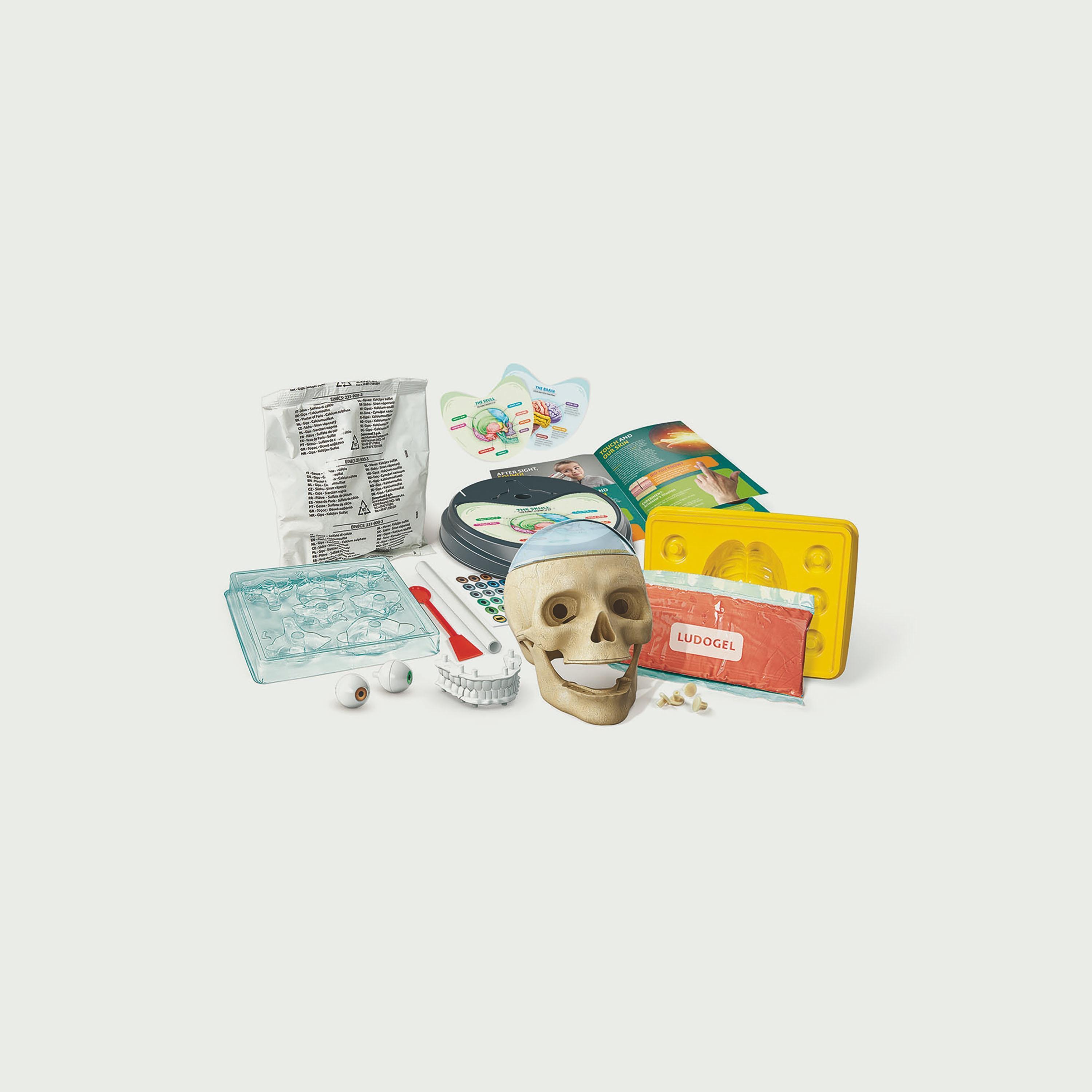 Clementoni Science and Play Crazy Anatomy Lab-toys-educational-stemtoys-image-1