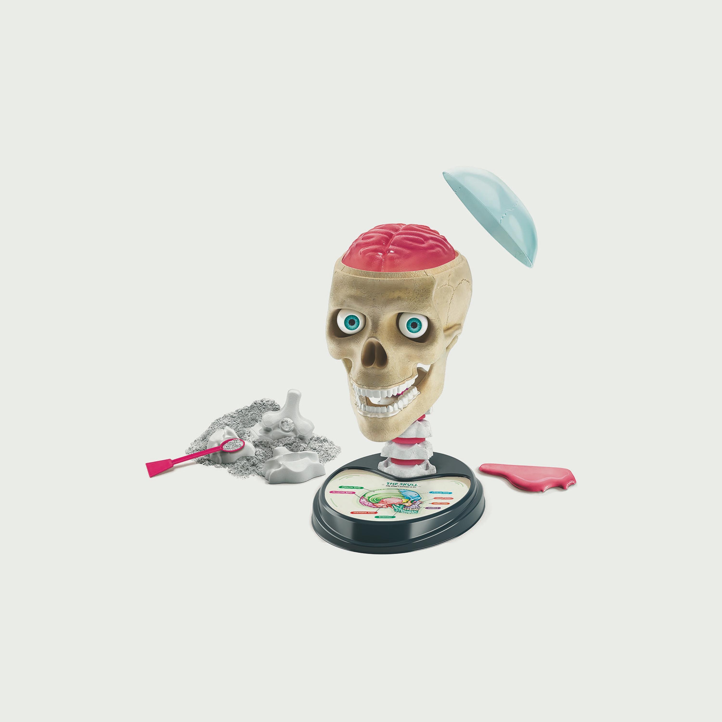 Clementoni Science and Play Crazy Anatomy Lab-toys-educational-stemtoys-image-3