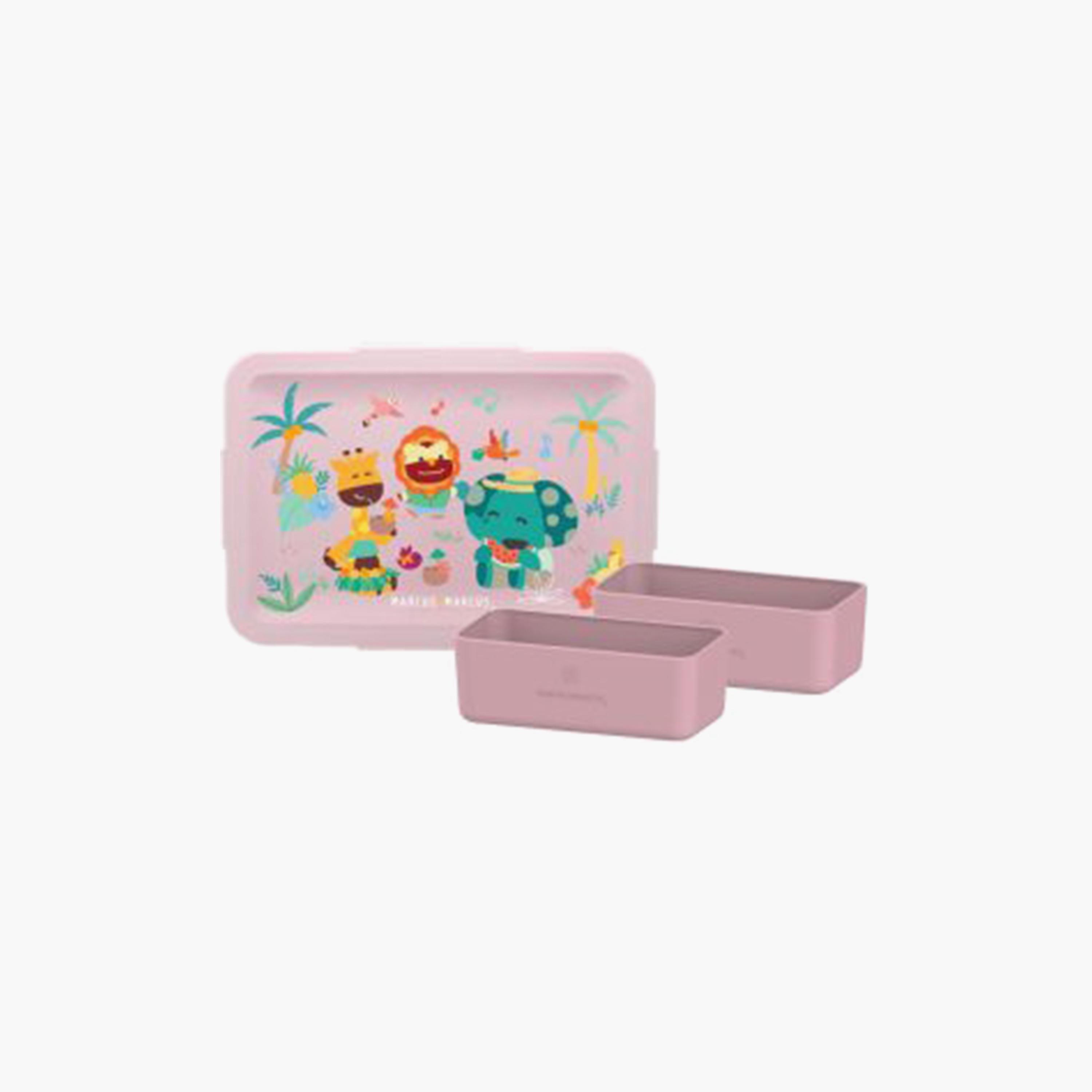 صندوق بينتو من ماركوس اند ماركوس, إستوائي-school-lunchessentials-lunchboxes-image-2