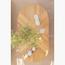 The 8 Senses Living Paloma Coffee Table-InfluencerCodes_Ramadan26_All_20012026-image-7