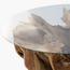 The 8 Senses Living Teak Root Coffee Table-InfluencerCodes_Ramadan26_All_20012026-image-3
