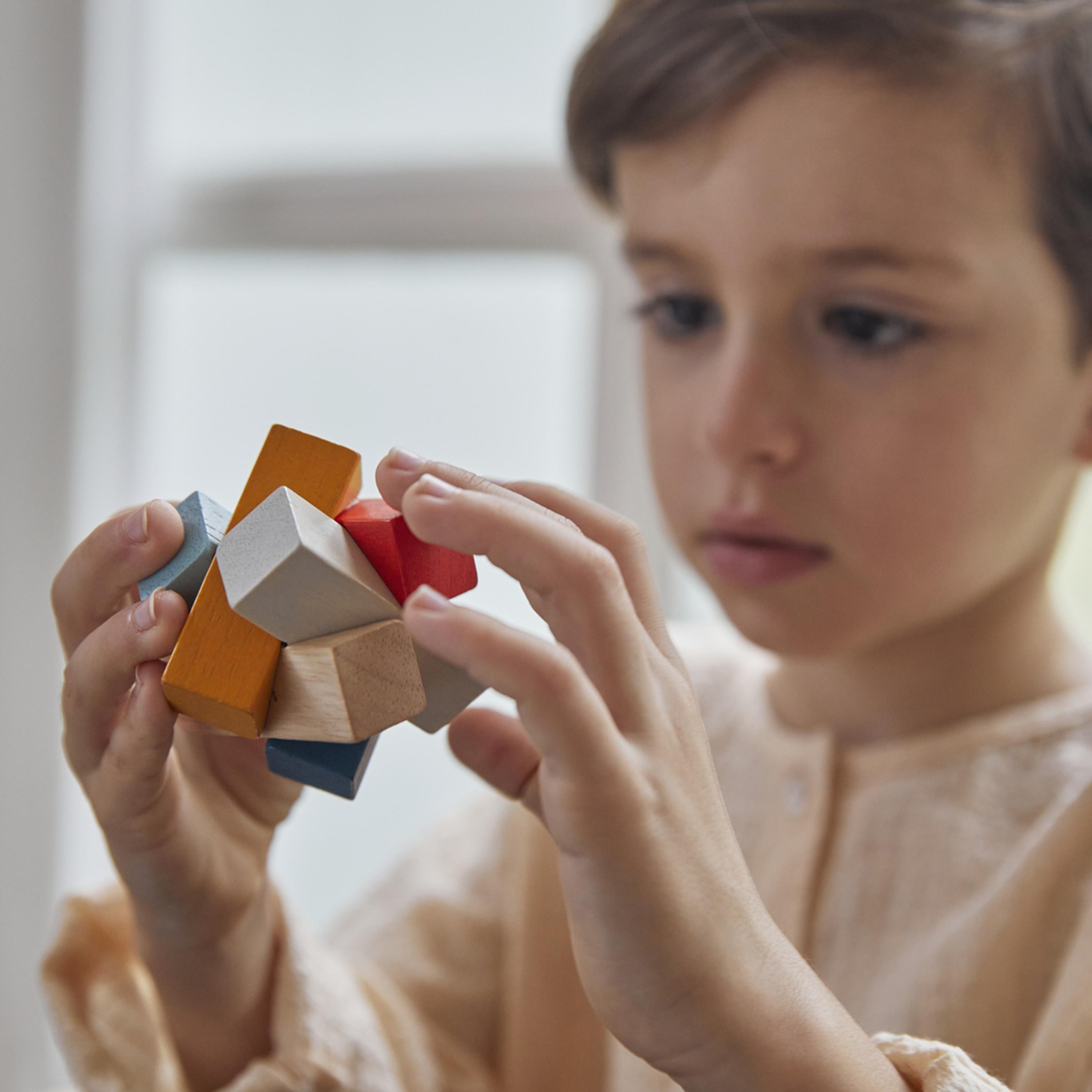 PlanToys Planmini Rectangular Puzzle-toys-indoortoys-puzzles-image-4