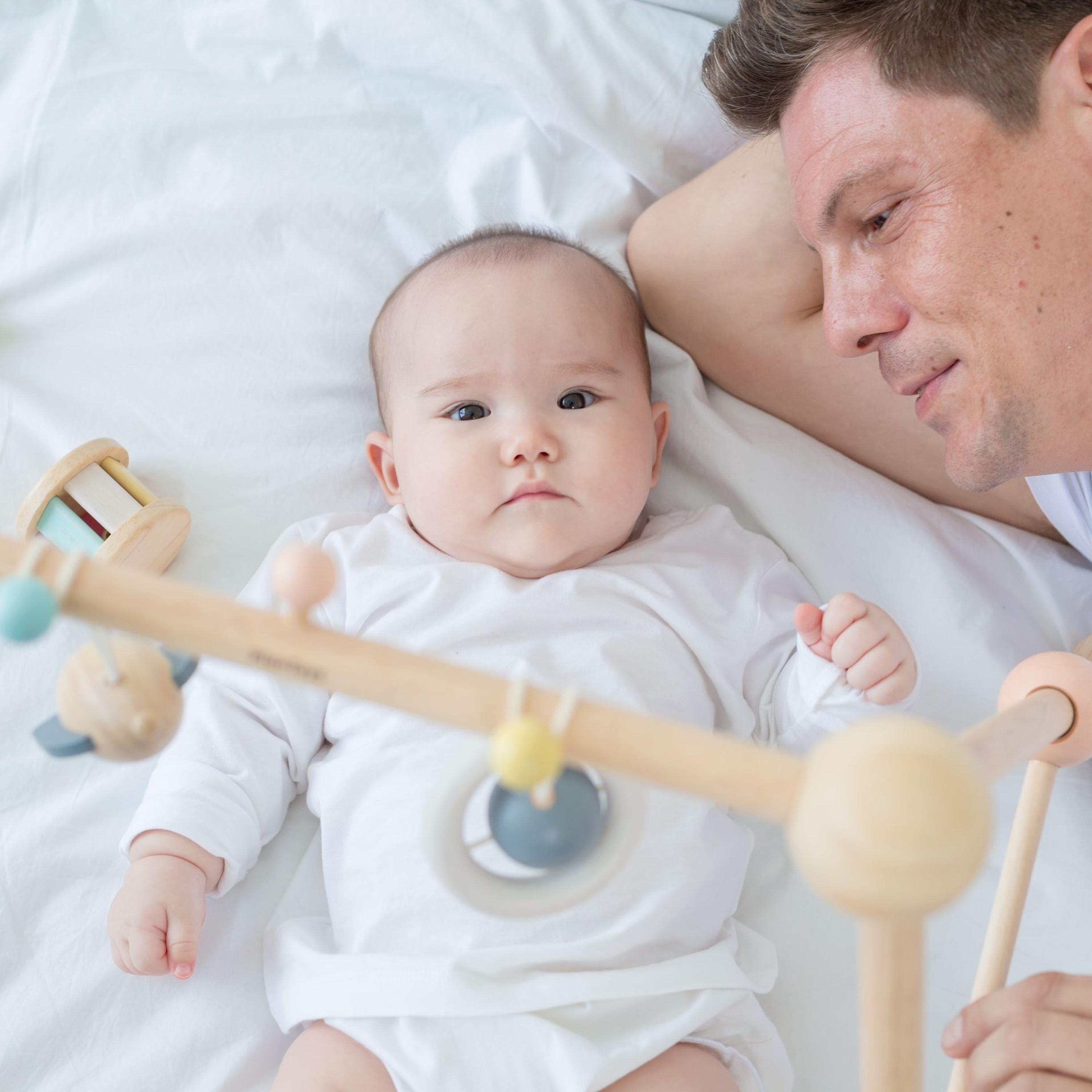 PlanToys Play Gym-baby-infantactivity-playgyms-image-2