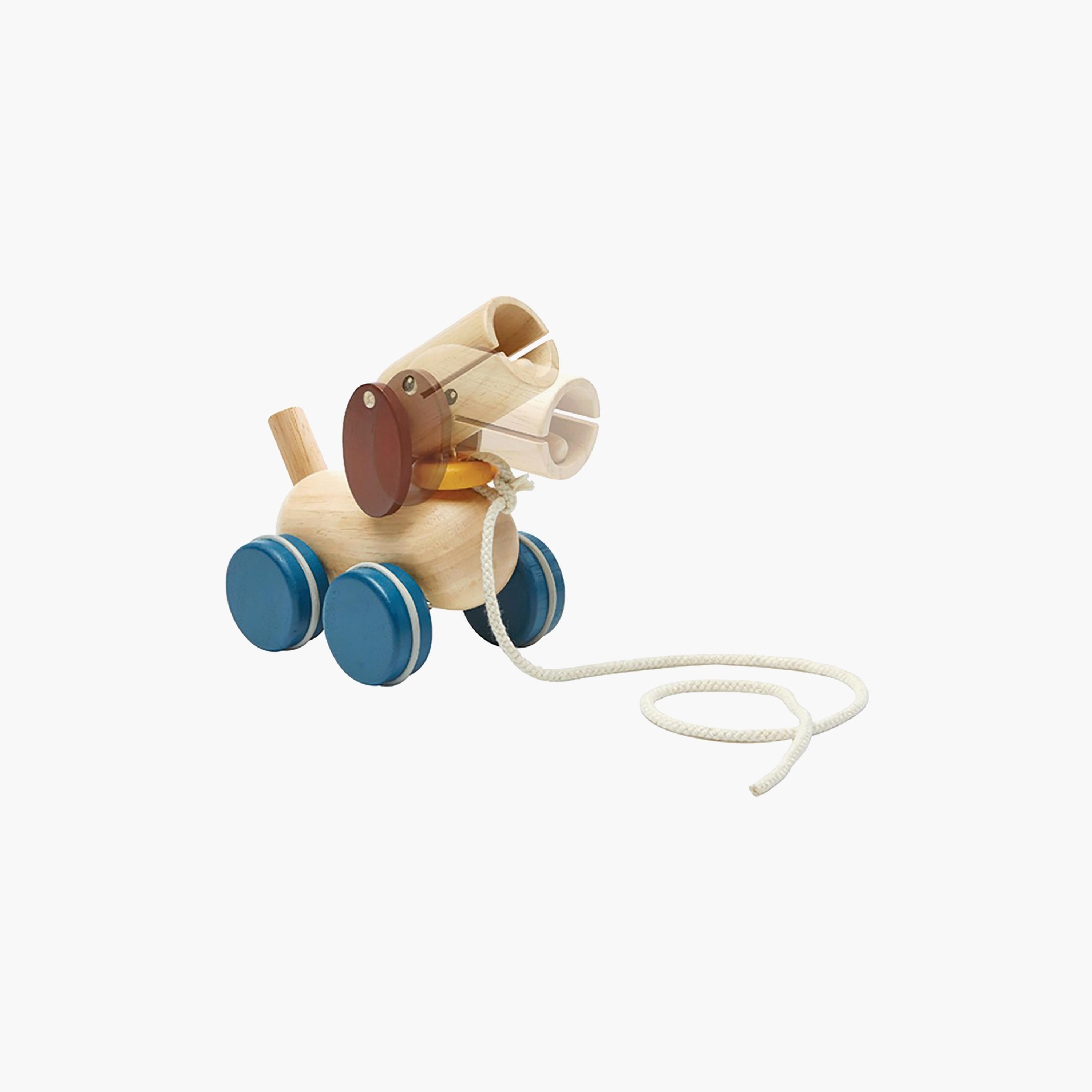 جرو دفع وسحب من بلان تويز-toys-babyandtoddlertoys-learningtoys-image-2