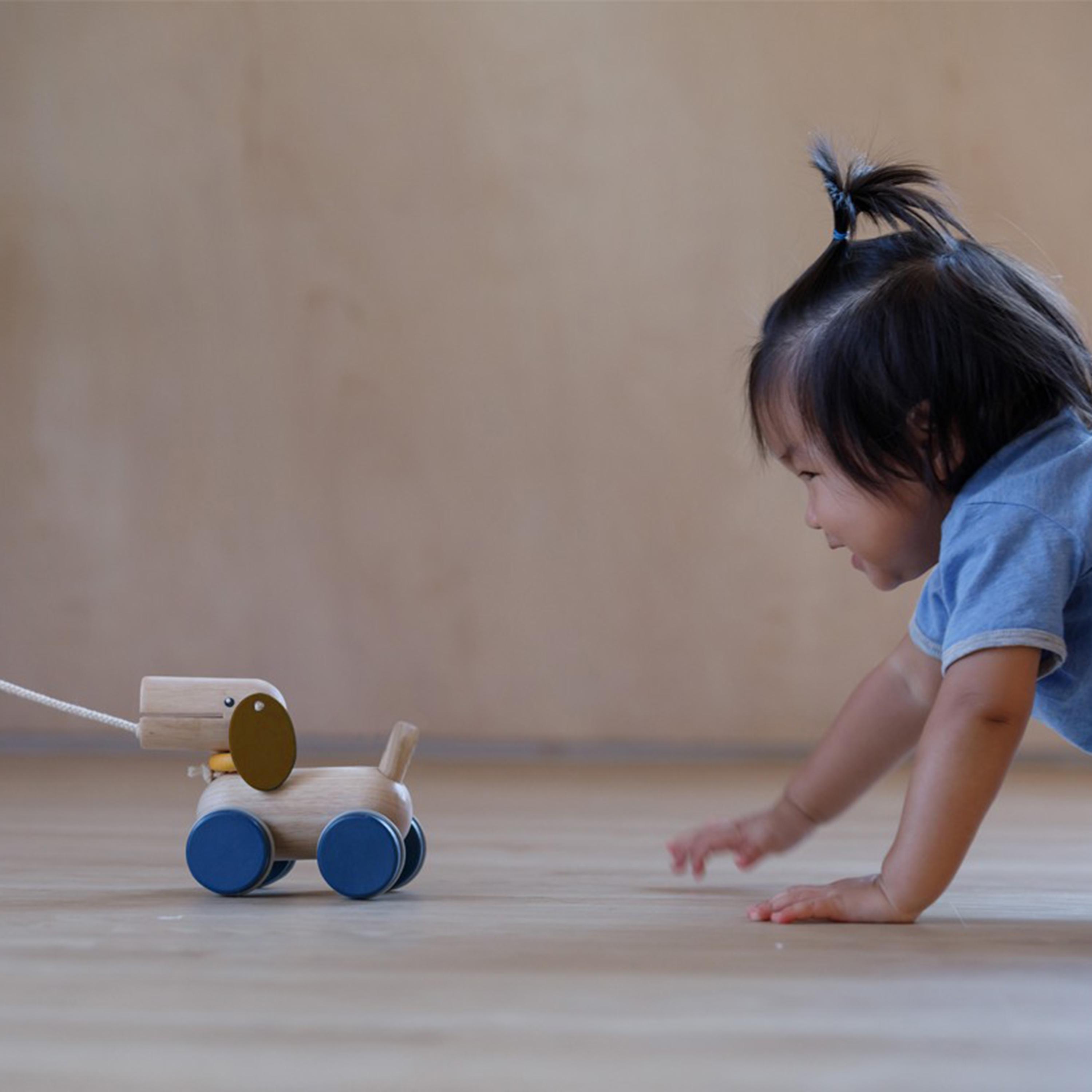 جرو دفع وسحب من بلان تويز-toys-babyandtoddlertoys-learningtoys-image-5