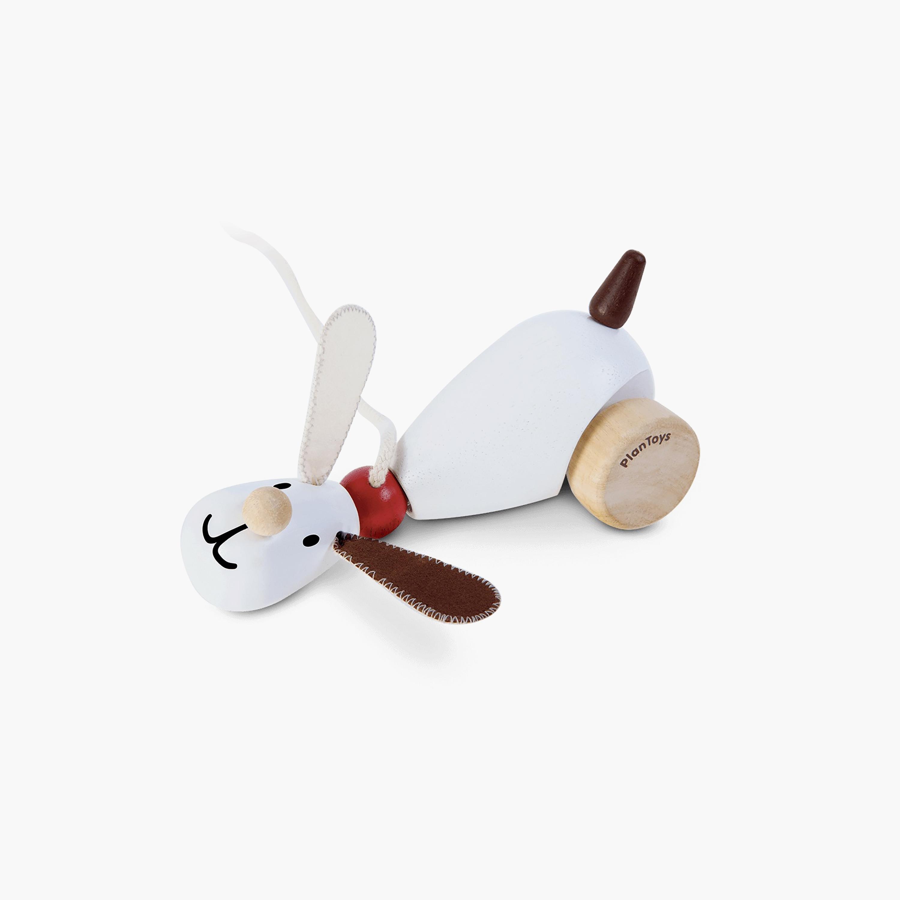 جرو أجلس وامشي من بلان تويز-toys-babyandtoddlertoys-learningtoys-image-3