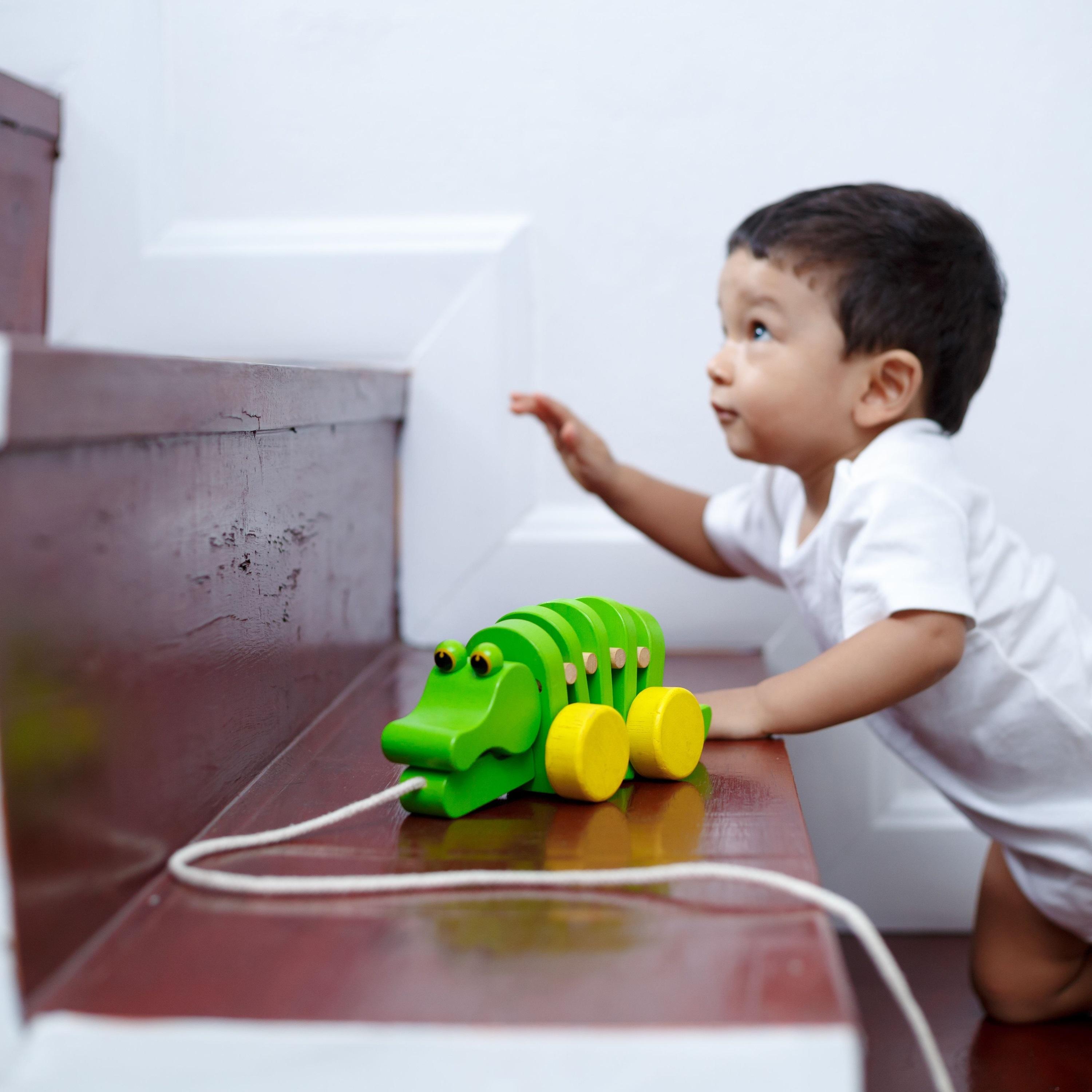 تمساح راقص من بلان تويز-toys-babyandtoddlertoys-learningtoys-image-5
