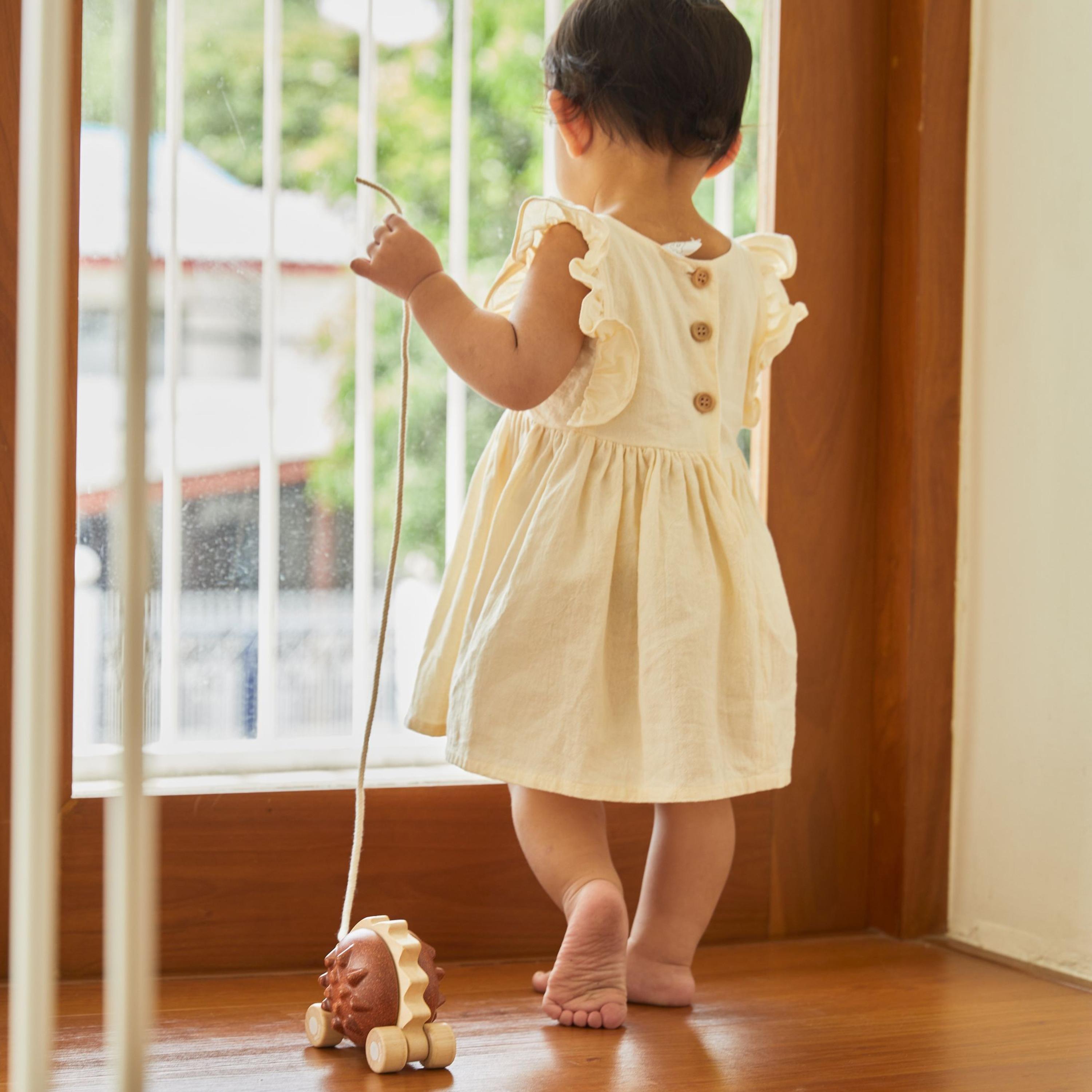 قنفذ السحب من بلان تويز-toys-babyandtoddlertoys-pushandpulltoys-image-1