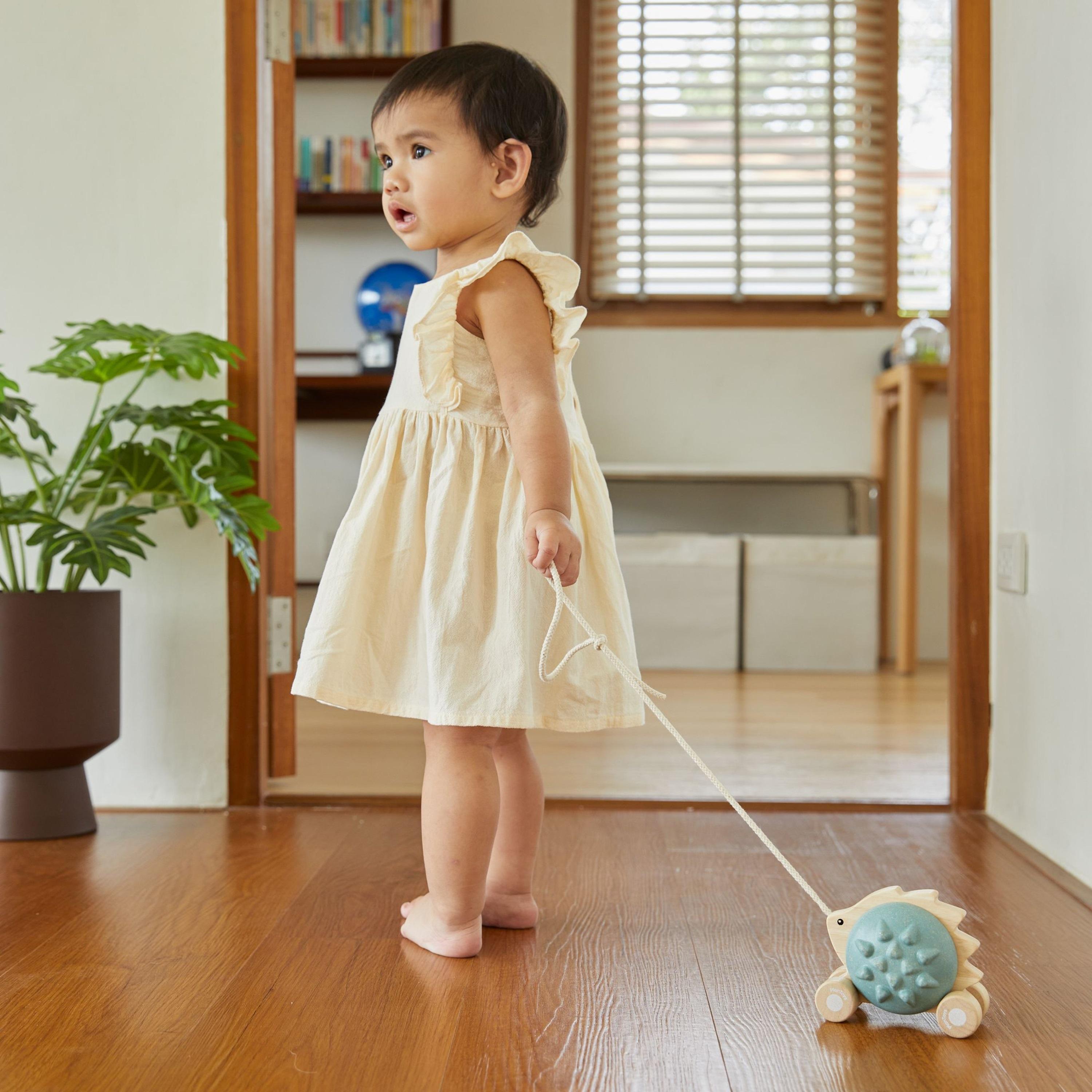 قنفذ السحب من بلان تويز-toys-babyandtoddlertoys-pushandpulltoys-image-2