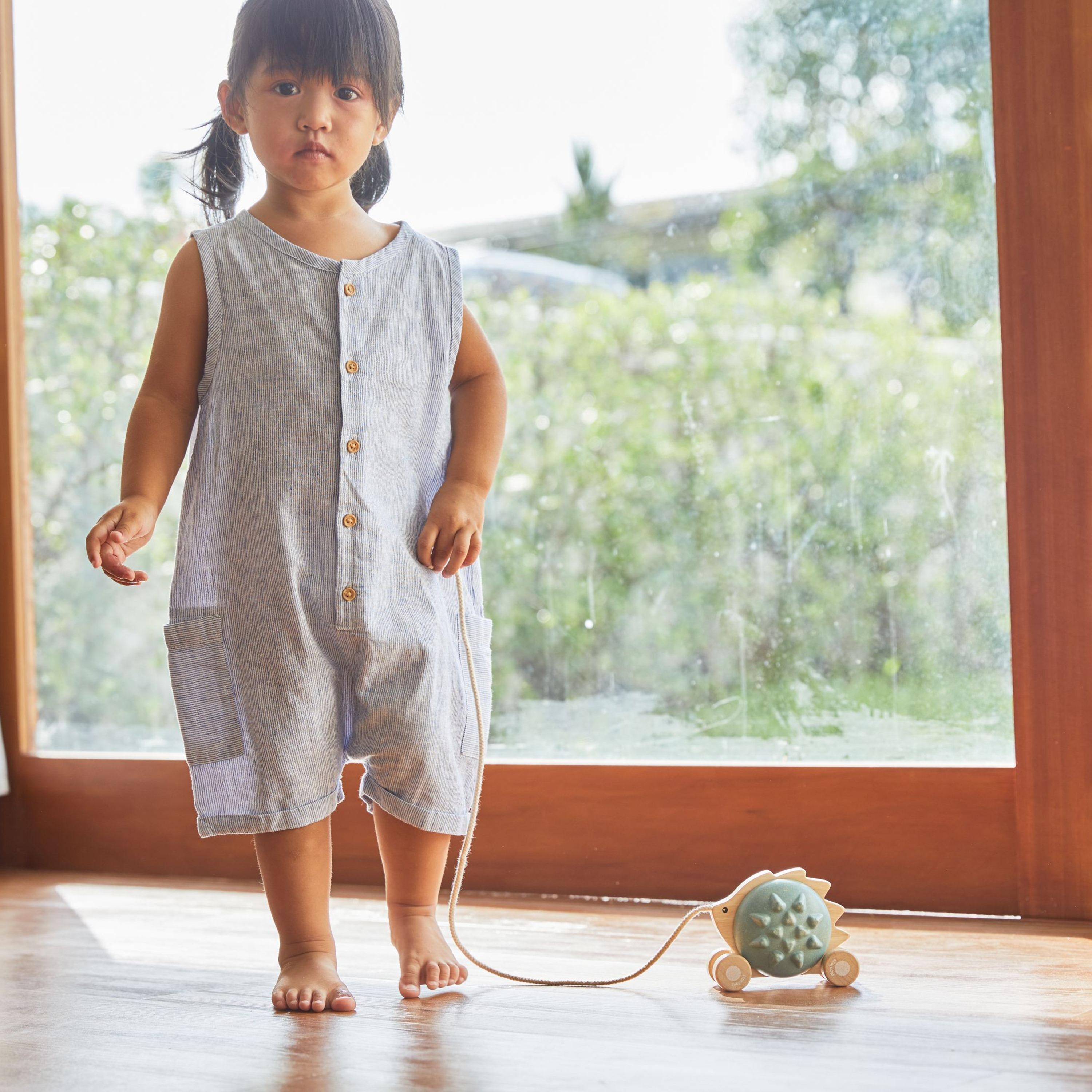 قنفذ السحب من بلان تويز-toys-babyandtoddlertoys-pushandpulltoys-image-1