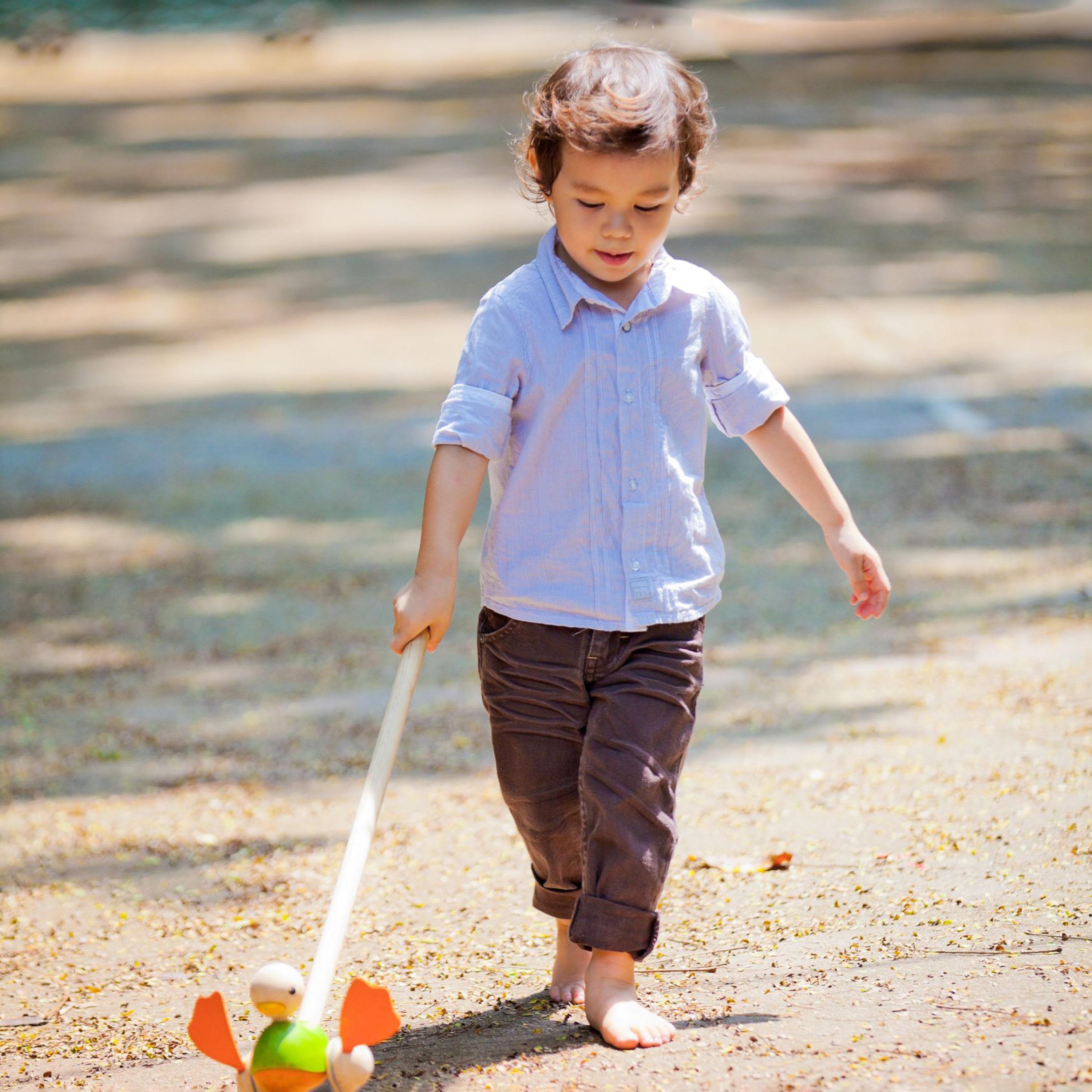 بطة دفع من بلان تويز-toys-babyandtoddlertoys-learningtoys-image-2