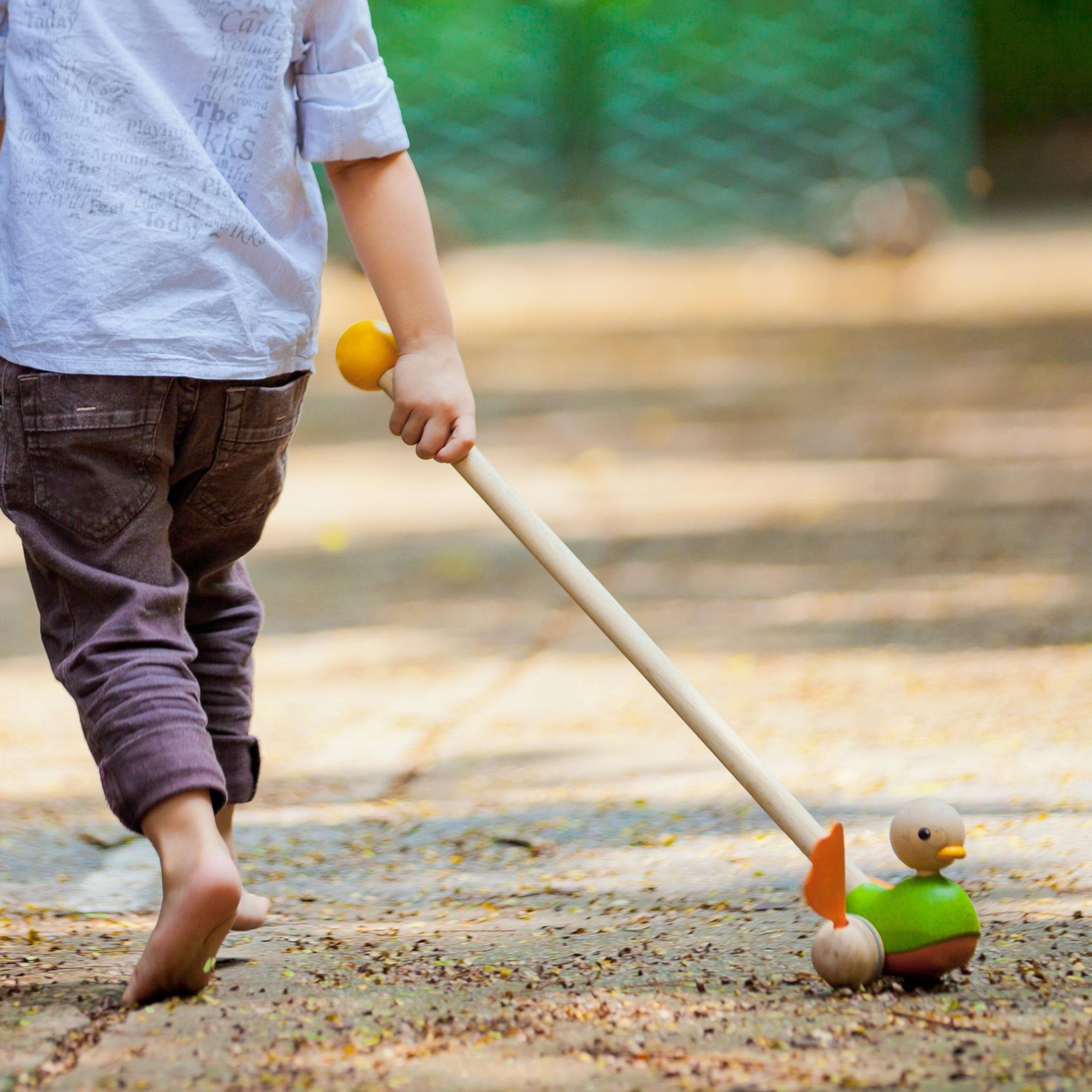 بطة دفع من بلان تويز-toys-babyandtoddlertoys-learningtoys-image-3