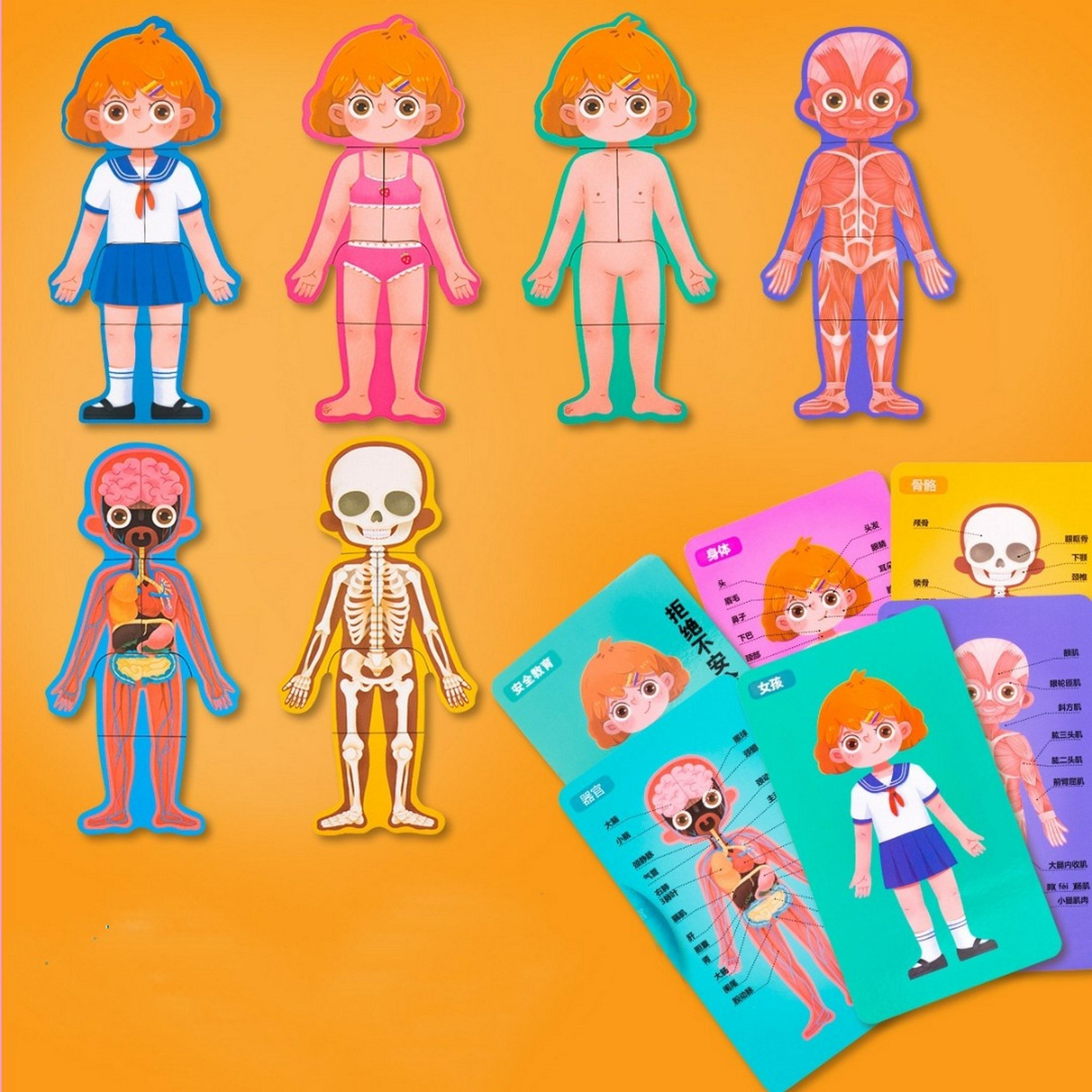  مجموعة ألعاب ألغاز تركيب الجسم تريهول من فاكتوري برايس، فتاة-toys-babyandtoddlertoys-learningtoys-image-2
