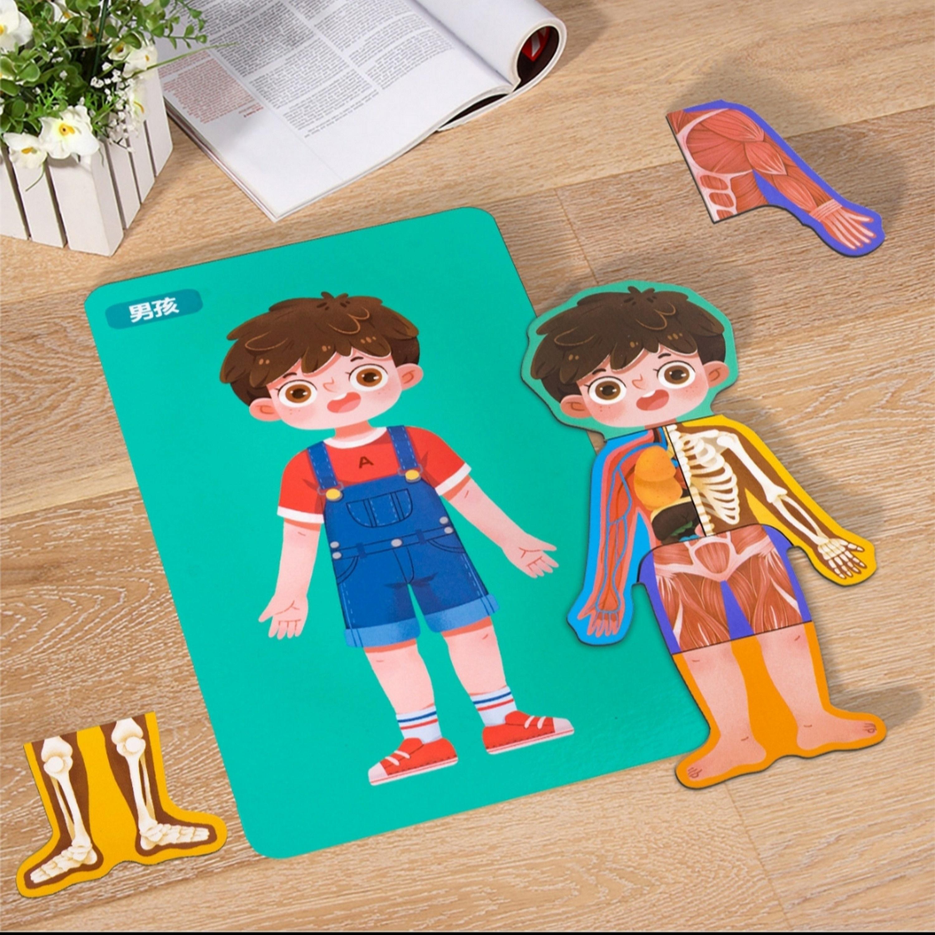  مجموعة ألعاب ألغاز تركيب الجسم تريهول من فاكتوري برايس، ولد-toys-babyandtoddlertoys-learningtoys-image-2
