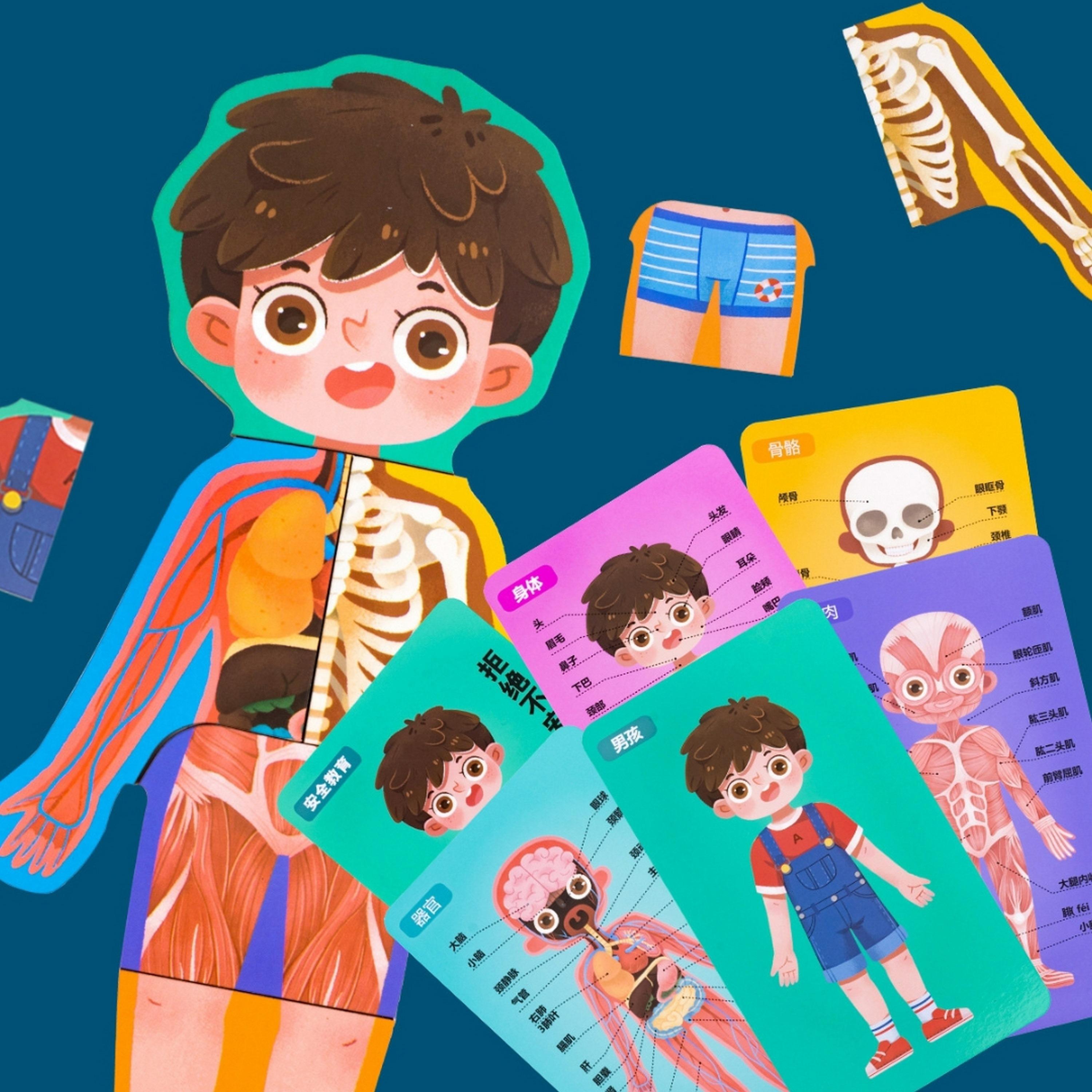  مجموعة ألعاب ألغاز تركيب الجسم تريهول من فاكتوري برايس، ولد-toys-babyandtoddlertoys-learningtoys-image-3