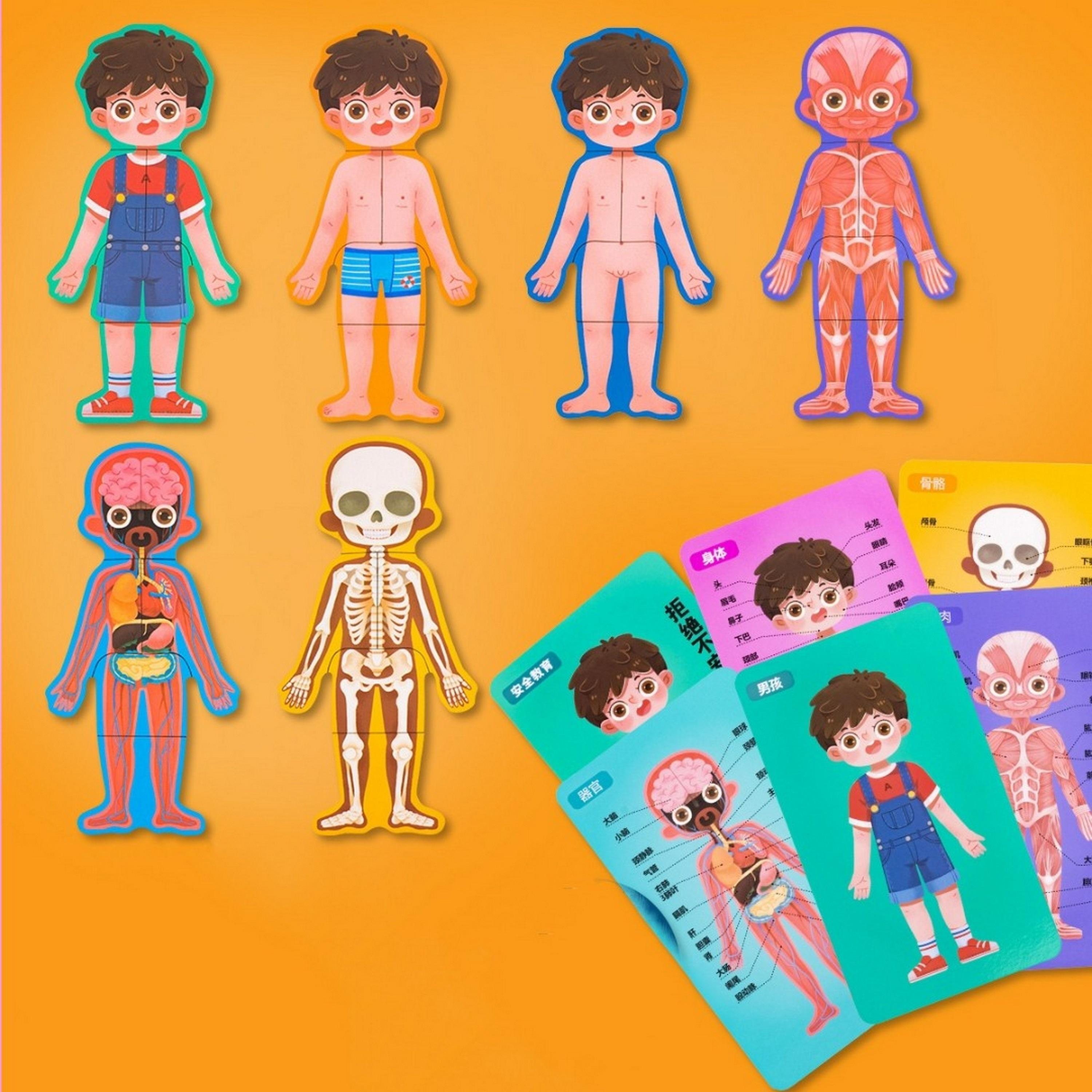  مجموعة ألعاب ألغاز تركيب الجسم تريهول من فاكتوري برايس، ولد-toys-babyandtoddlertoys-learningtoys-image-4