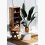 HomeKode Rattan Mango Wooden Display Stand-InfluencerCodes_Ramadan26_All_20012026-image-2