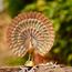 Quesera Decorative Figurine-InfluencerCodes_Ramadan26_All_20012026-image-1
