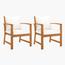 VidaXL Outdoor Armchair with Cushion - Set of 2-InfluencerCodes_Ramadan26_All_20012026-image-1