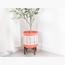 Leaf Planter - 27 cm-InfluencerCodes_Ramadan26_All_20012026-image-1