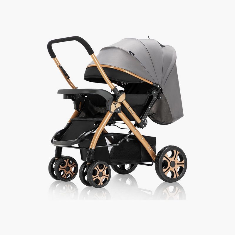 Teknum Reversible Trip2 Stroller