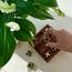 Quesera Wooden Tic Tac Toe Game-InfluencerCodes_Ramadan26_All_20012026-image-5