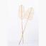 The 8 Senses Living Banana Leaf Rattan Stick-InfluencerCodes_Ramadan26_All_20012026-image-2