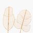 The 8 Senses Living Banana Leaf Rattan Stick-InfluencerCodes_Ramadan26_All_20012026-image-3