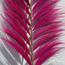 The 8 Senses Living Rayung Decorative Barbie Stick-InfluencerCodes_Ramadan26_All_20012026-image-5