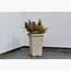 Strata Planter - 31 cm-InfluencerCodes_Ramadan26_All_20012026-image-2