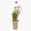Strata Planter - 31 cm-InfluencerCodes_Ramadan26_All_20012026-image-1