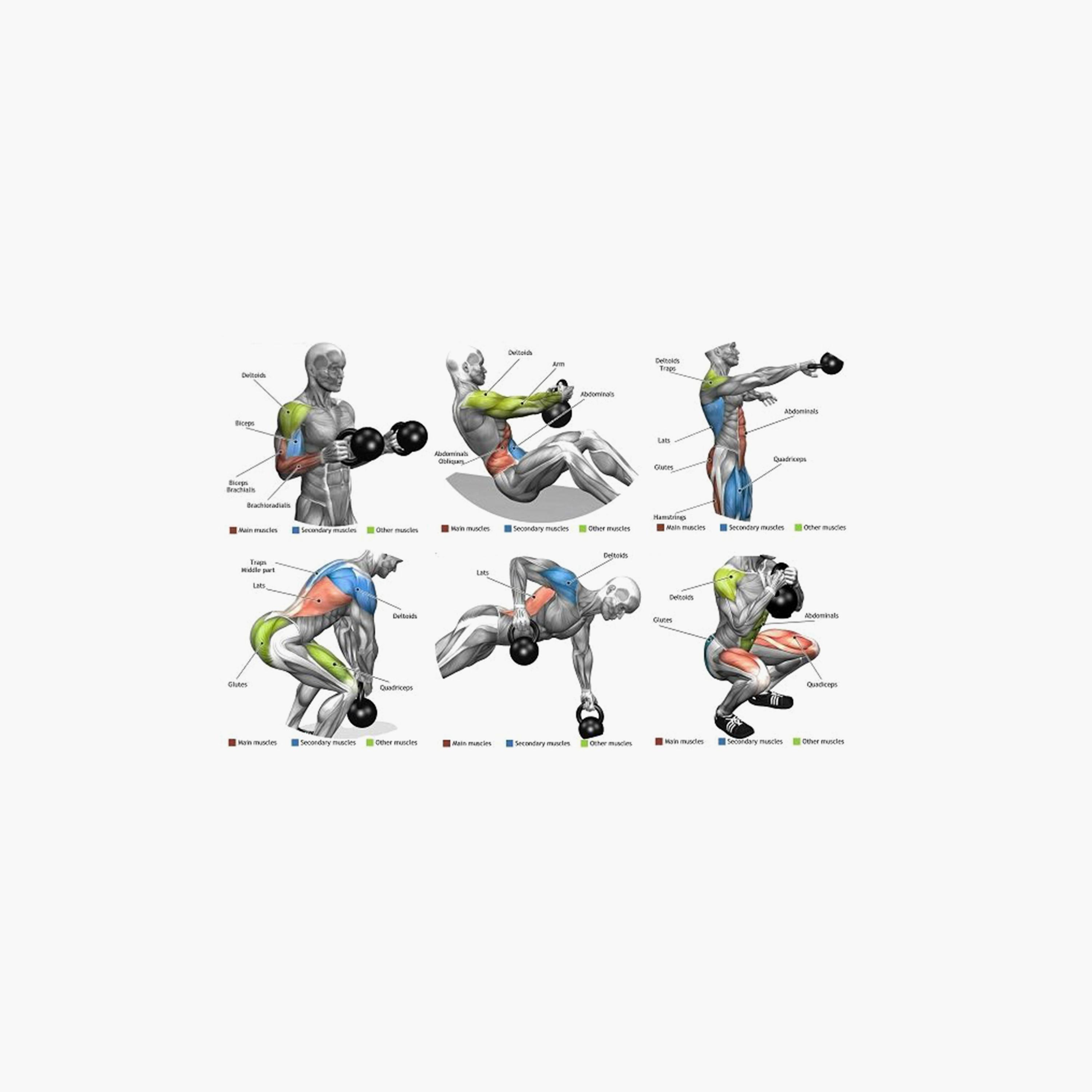 Body Builder Cement Plastic Kettlebell Dumbbell, 8 Kg | 38-1164-sports-gear-gym-image-5
