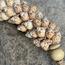 زينة حائط بشُرّابات صدف - ذا 8 سينسيز ليفينج-InfluencerCodes_Ramadan26_All_20012026-image-1