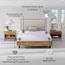 Color Sense Cotton 200 Thread Count Queen Fitted Sheet - 200x160 cm-InfluencerCodes_Ramadan26_All_20012026-image-5