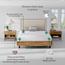 Color Sense Cotton 200 Thread Count Super King Fitted Sheet - 200x205 cm-InfluencerCodes_Ramadan26_All_20012026-image-9