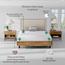 Color Sense Cotton 225 Thread Count Queen Fitted Sheet - 160x200 cm-InfluencerCodes_Ramadan26_All_20012026-image-5