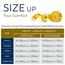 Color Sense Cotton 200 Thread Count 3-Piece Queen Duvet Cover Set - 200x200 cm-InfluencerCodes_Ramadan26_All_20012026-image-5