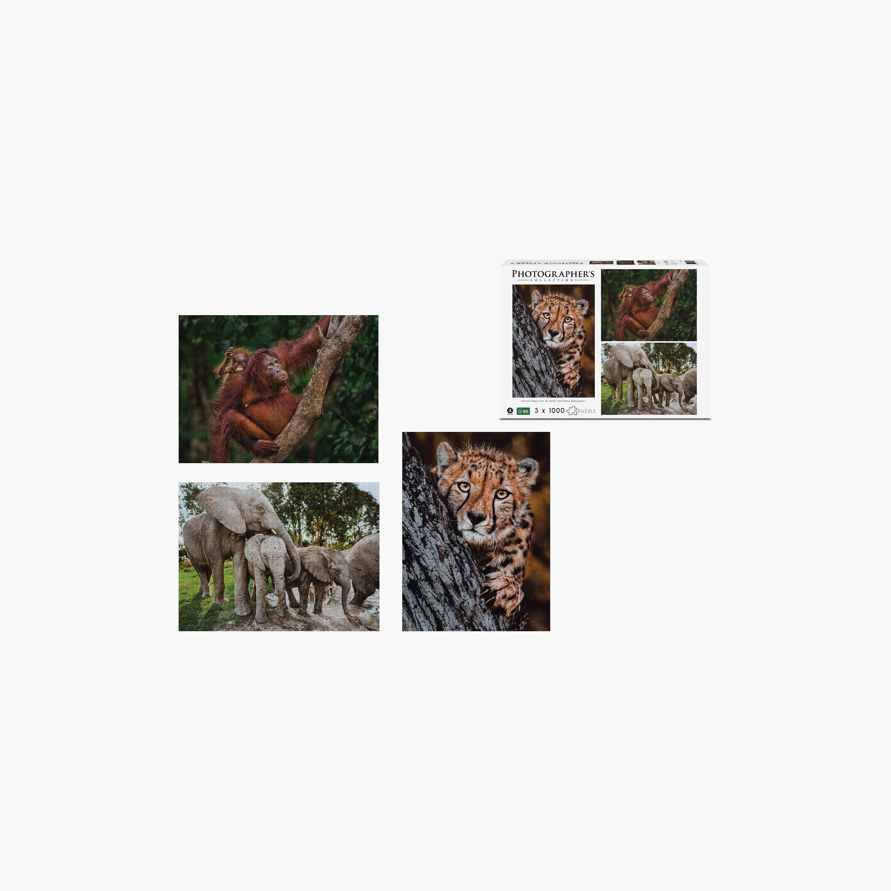 Ambassador 1000-Piece Photographers Collection Puzzle Tri-Pack-toys-indoortoys-puzzles-image-3