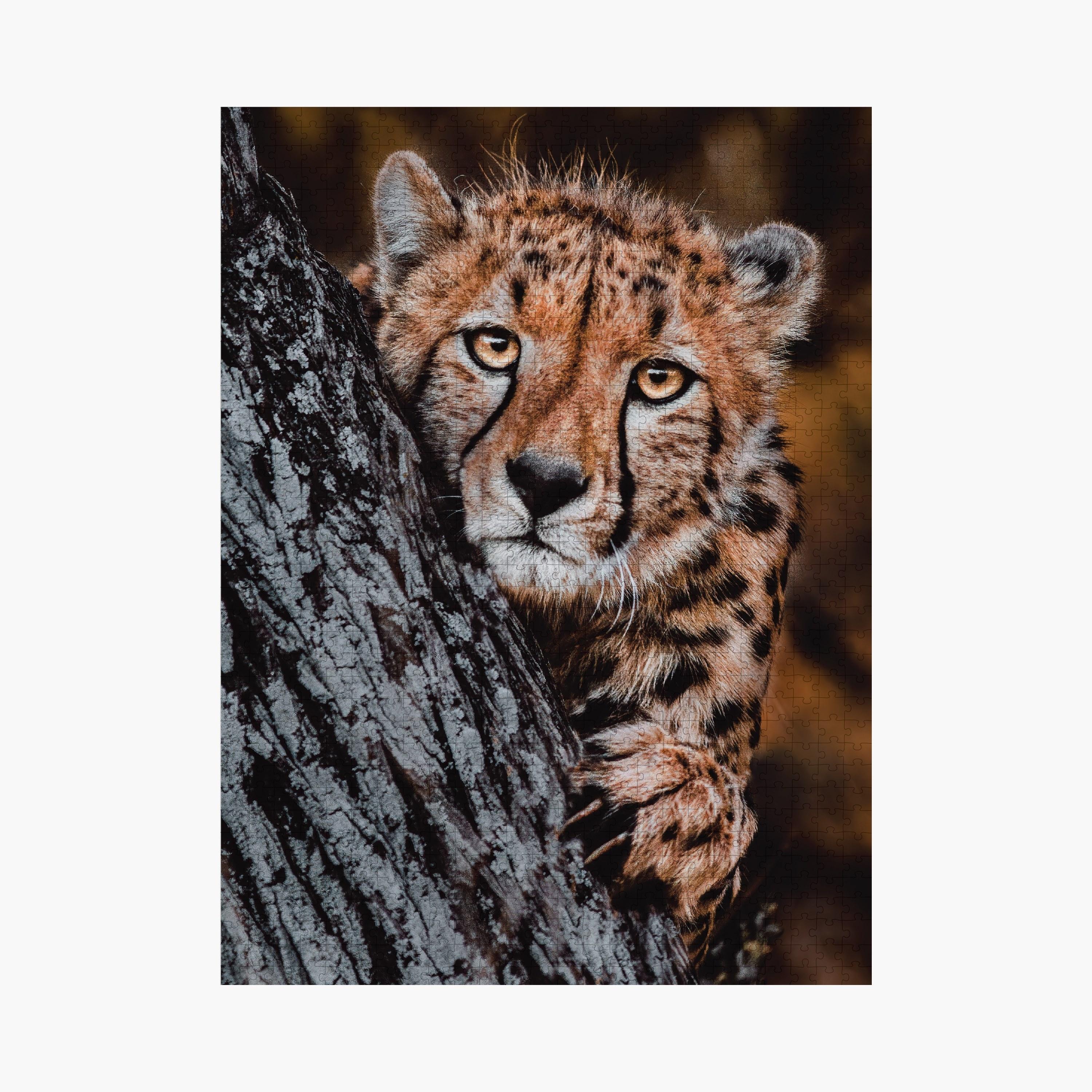 Ambassador 1000-Piece Photographers Collection Puzzle Tri-Pack-toys-indoortoys-puzzles-image-4