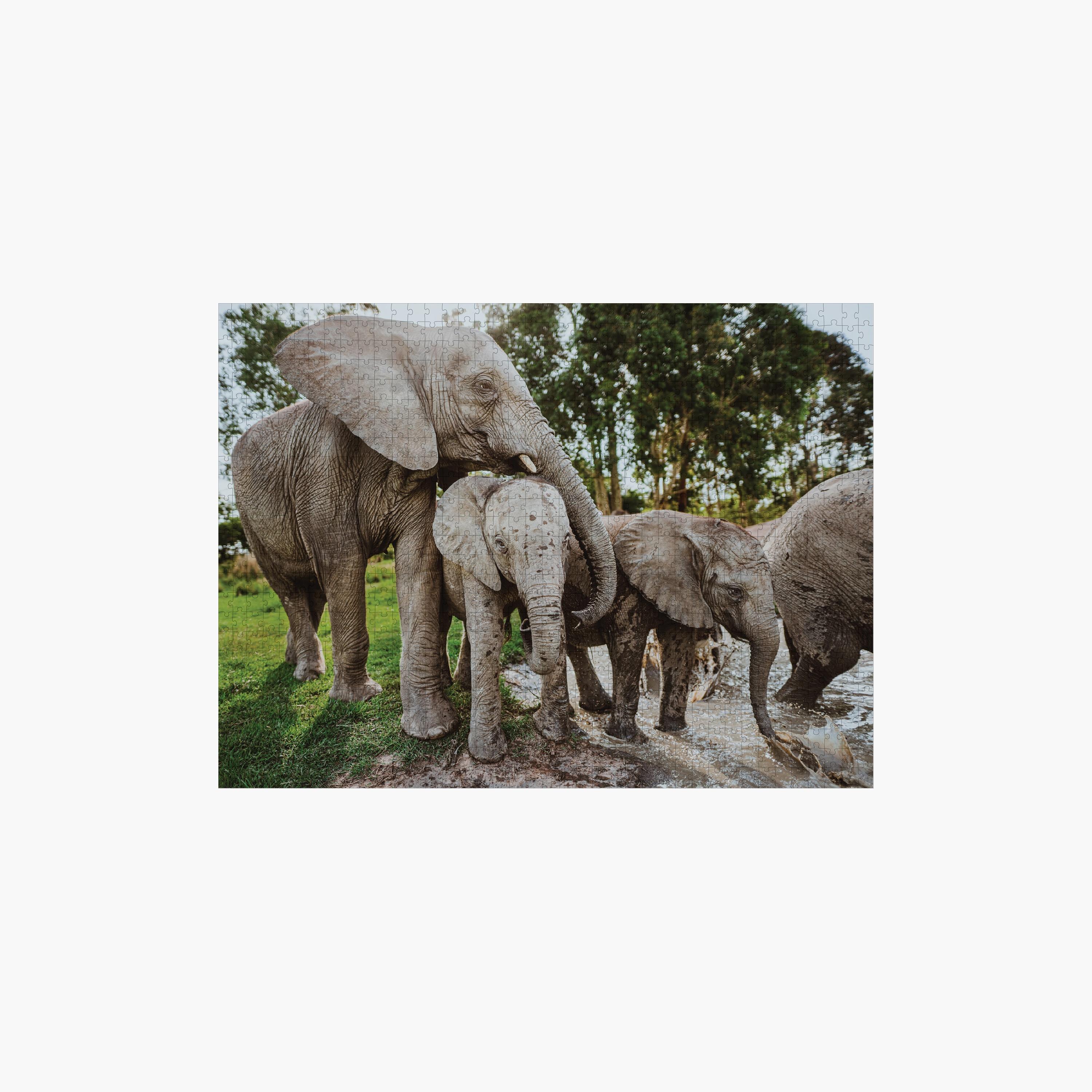Ambassador 1000-Piece Photographers Collection Puzzle Tri-Pack-toys-indoortoys-puzzles-image-5