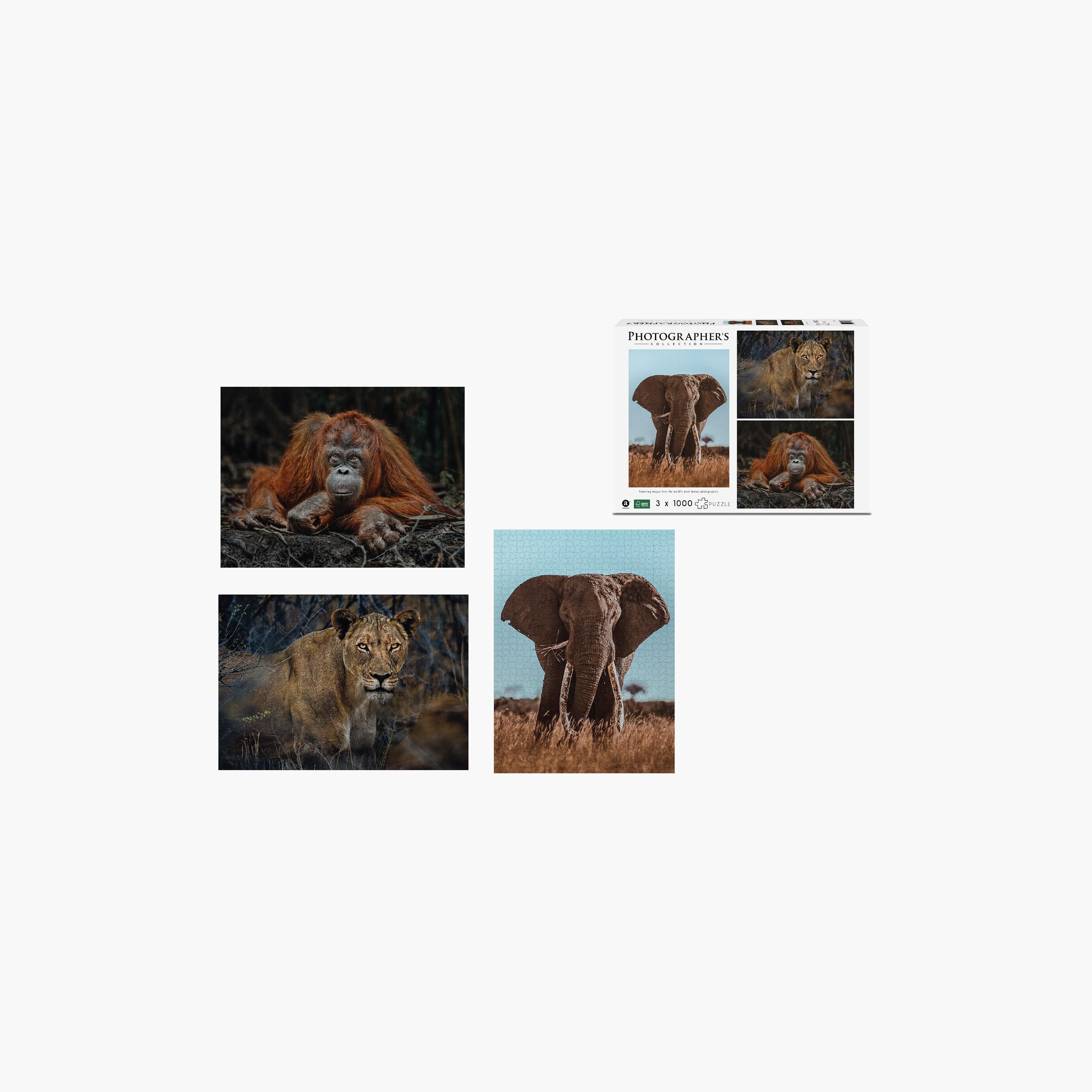 Ambassador 1000-Piece Photographers Collection Puzzle Tri-Pack-toys-indoortoys-puzzles-image-3
