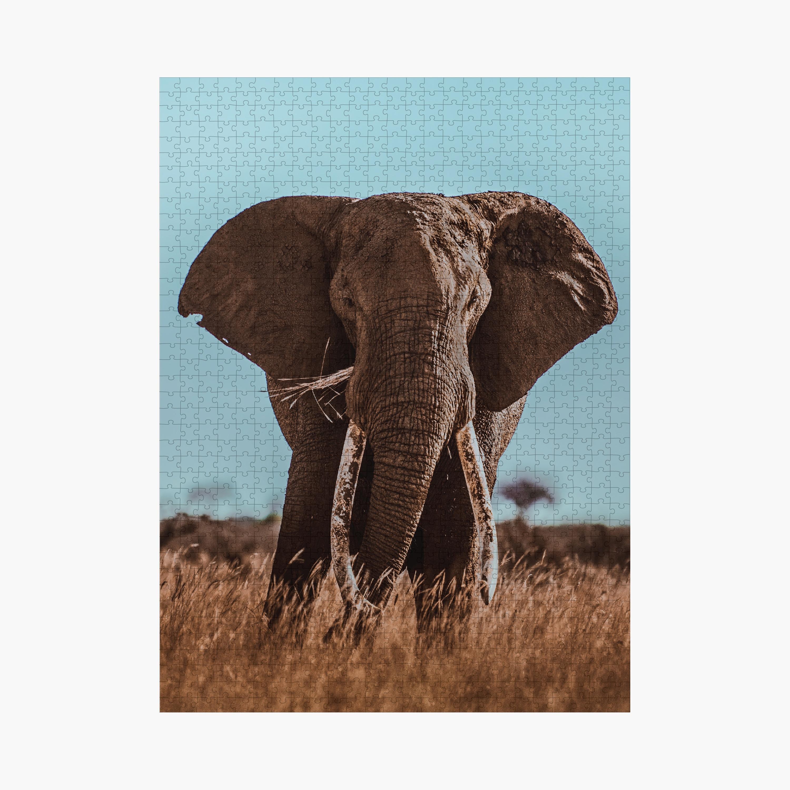 Ambassador 1000-Piece Photographers Collection Puzzle Tri-Pack-toys-indoortoys-puzzles-image-4