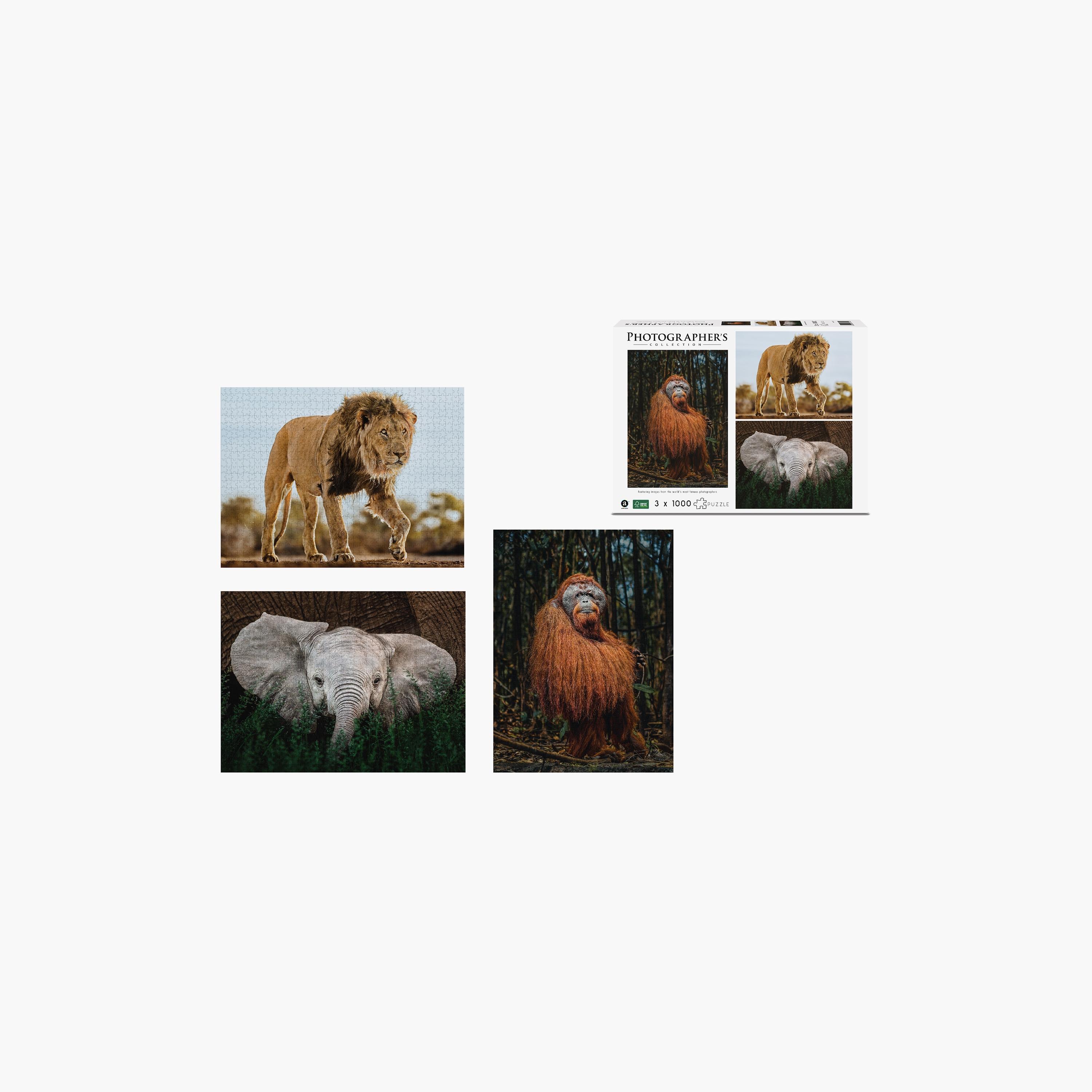 Ambassador 1000-Piece Photographers Collection Puzzle Tri-Pack-toys-indoortoys-puzzles-image-3