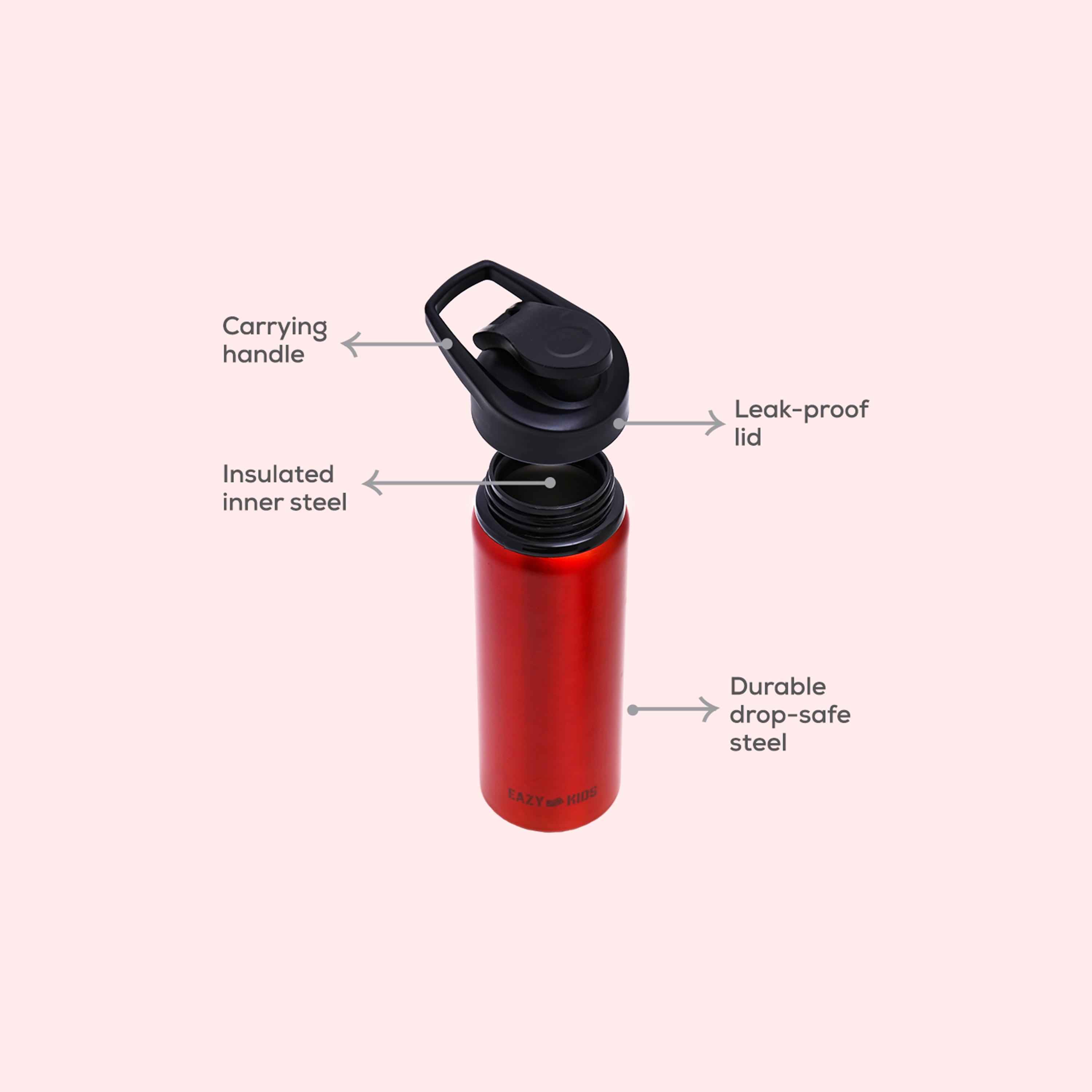Eazy Kids Stainless Steel Sports Water Bottle, 700ml-school-waterbottles-image-5