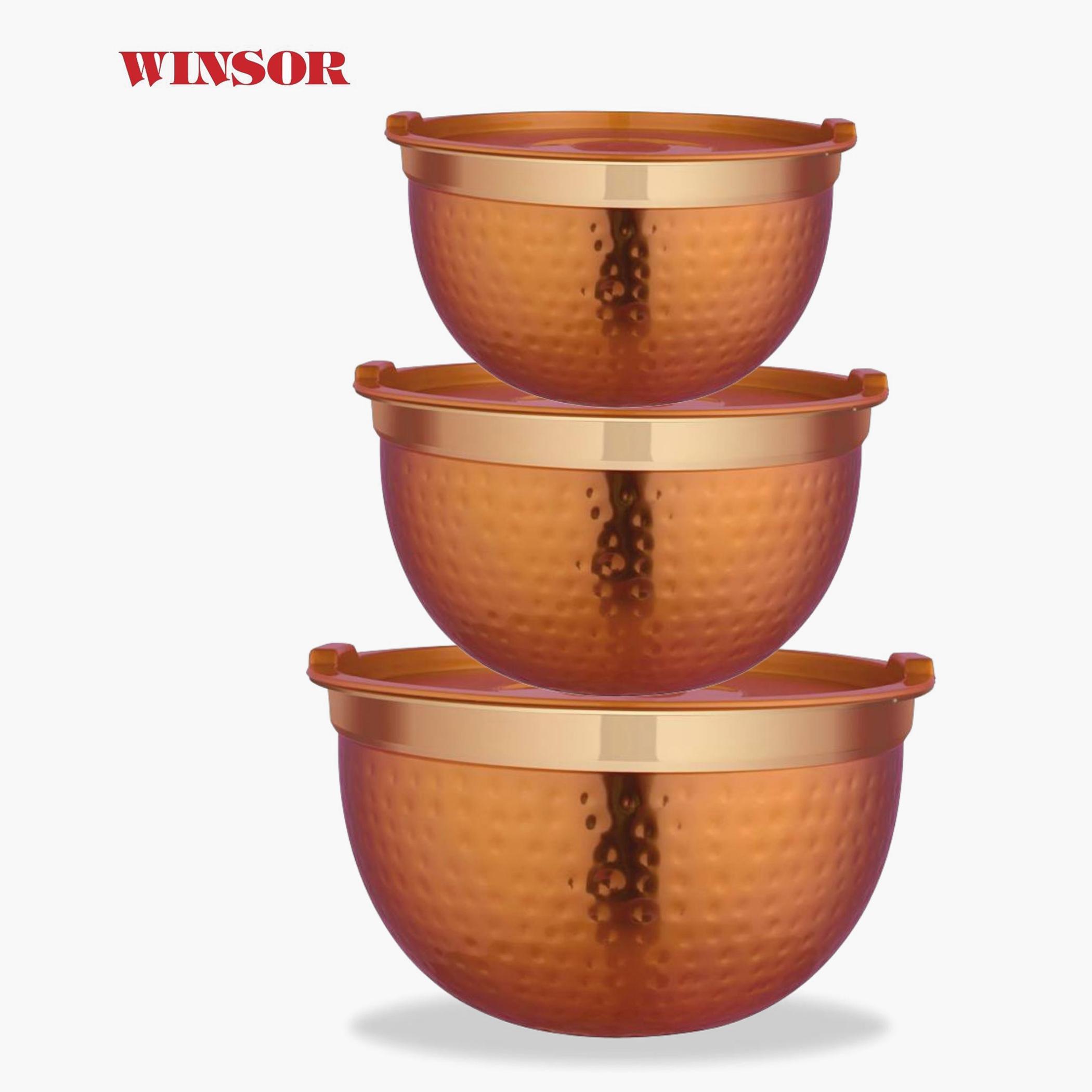 Winsor 3-Piece Stainless Steel Storage Bowl Set