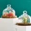 Quesera 4-Piece Domed Cake Platter Set-InfluencerCodes_Ramadan26_All_20012026-image-2