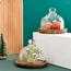 Quesera 4-Piece Domed Cake Platter Set-InfluencerCodes_Ramadan26_All_20012026-image-5