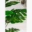 شجرة المونستيرا - 145 سم-InfluencerCodes_Ramadan26_All_20012026-image-2