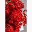 Cherry Blossom Plant - 120 cm-InfluencerCodes_Ramadan26_All_20012026-image-2
